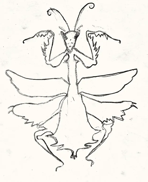 Dibujo original de Jesús: Darthy