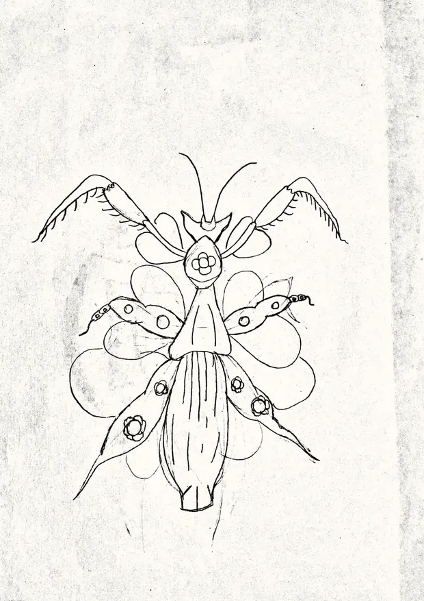 Dibujo original de Jesús: Lilia
